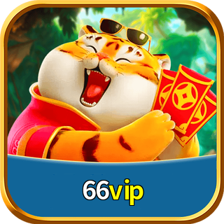 66vip